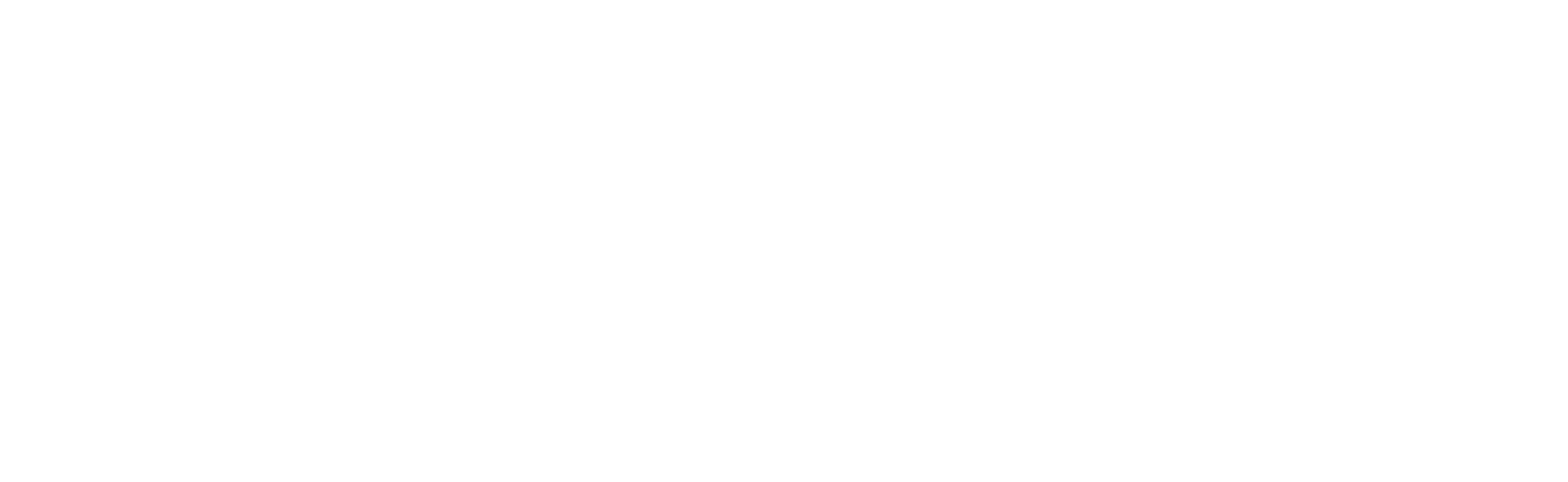Graveleros