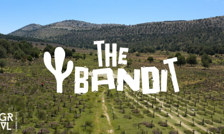 ¿Dónde y como seguir el campeonato de España de Gravel 2024?